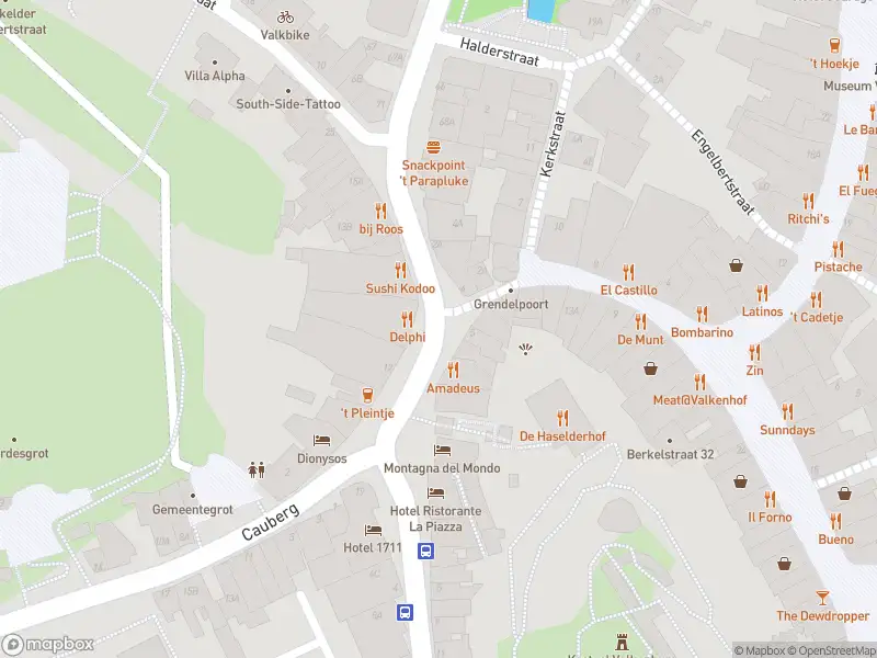 Brandweer met gepaste spoed naar de Grendelplein in Valkenburg