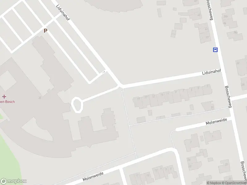 Brandweer met gepaste spoed naar de Liduinahof in Boxtel