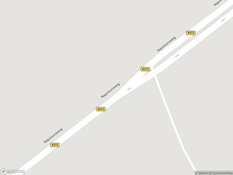 Politie naar de Napoleonsweg in Horn vanwege aanrijding met letsel