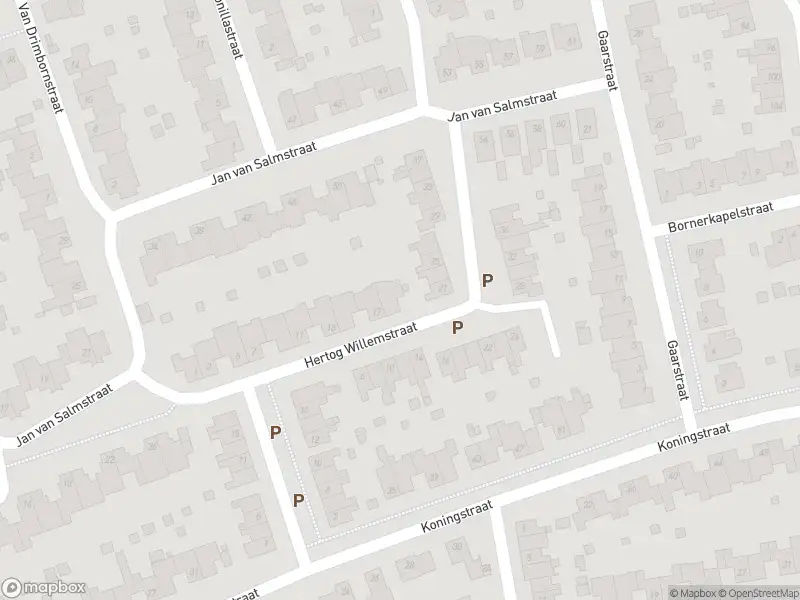 Overlastmelding Bornerkapelstraat in 6121HM Born