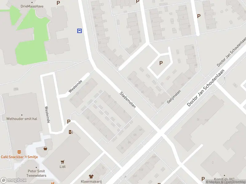 Overlastmelding Stadsmolen in Maassluis gesloten