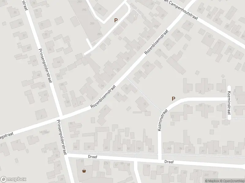 Brandweer met gepaste spoed naar de Rozenbloemhof in Made