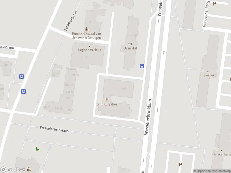 Politie naar de Wesselerbrinklaan in Enschede