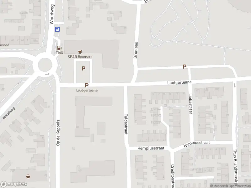 Brandweer met gepaste spoed naar de Rugebolstraat in Dokkum