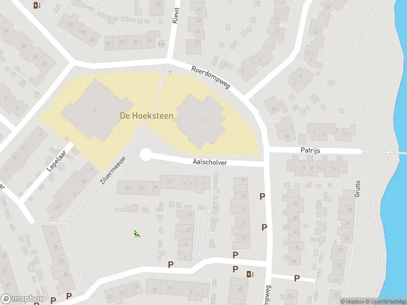 Ambulance met gepaste spoed naar de Aalscholver in Oud-Beijerland