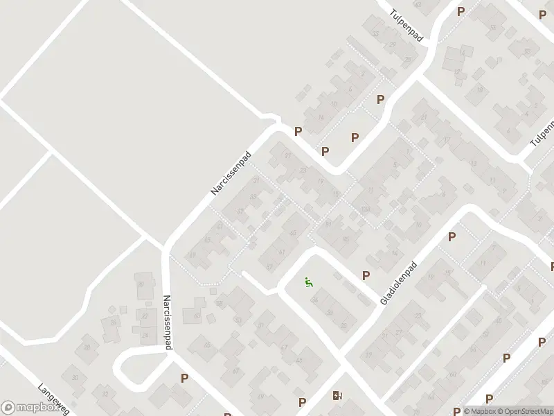 Ambulance met grote spoed naar de Narcissenpad in Stellendam