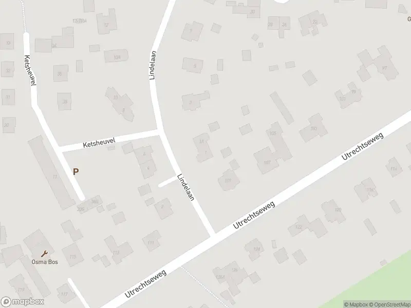 Anonieme overlastmelding Lindelaan in Renkum gesloten