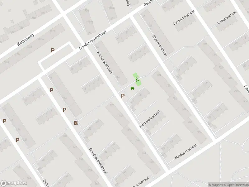 Ambulance met grote spoed naar de Hortensiastraat in Vlaardingen