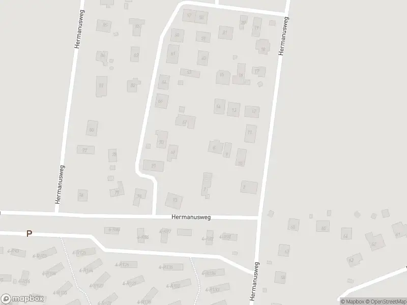 Brandweer met gepaste spoed naar de Hermanusweg in Schaijk