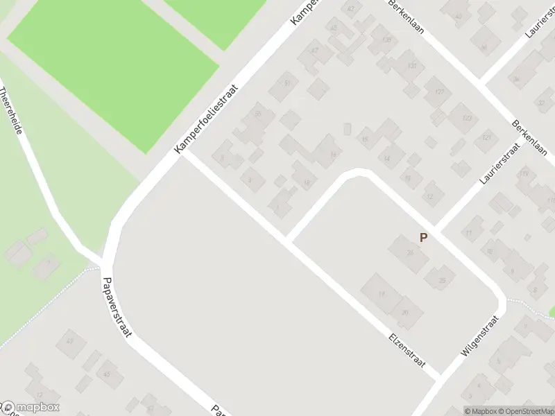 Overlastmelding Elzenstraat in Sint-Michielsgestel