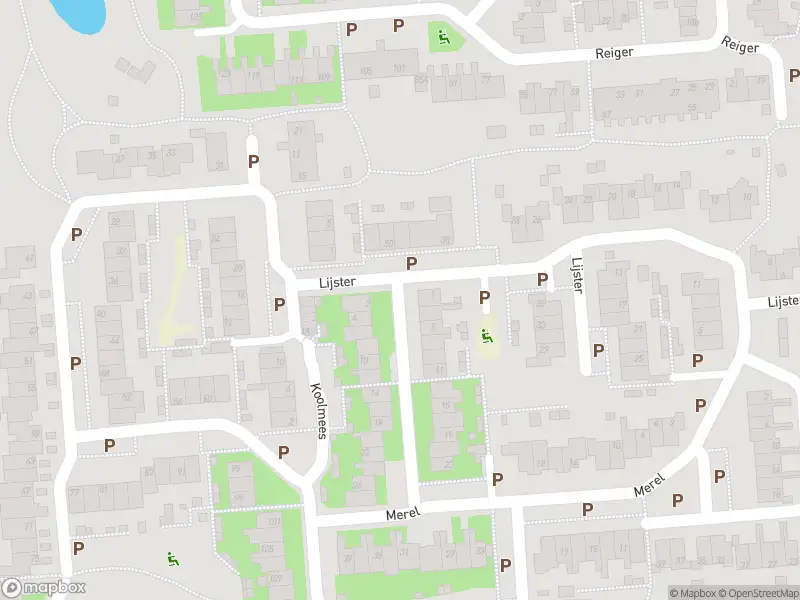 Ambulance met grote spoed naar de Tuinfluiter in Sommelsdijk