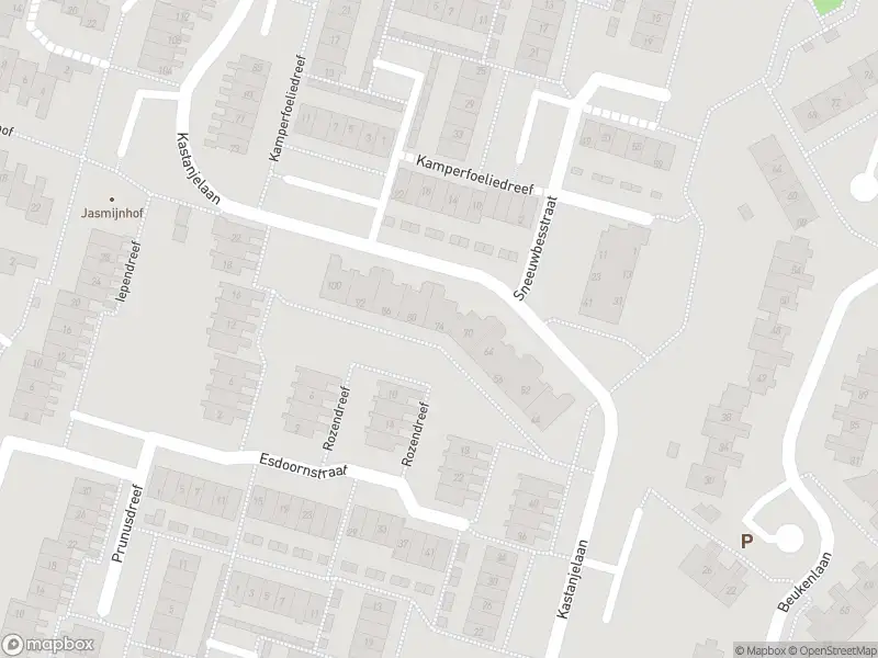 Ambulance met gepaste spoed naar de Kastanjelaan in Bleiswijk