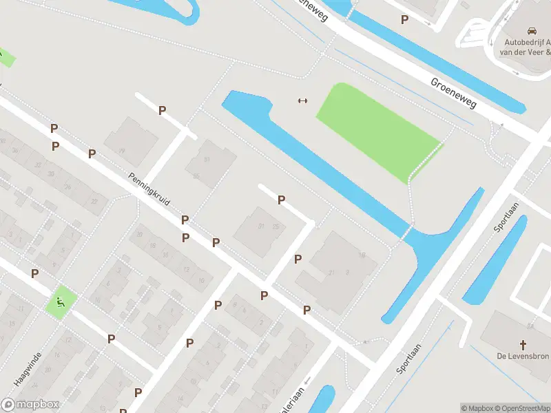 Overlastmelding Penningkruid in Puttershoek gesloten