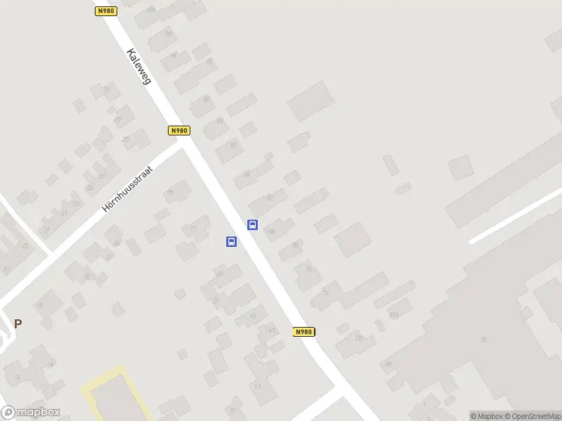 Ambulance met grote spoed naar de Provincialeweg in Kornhorn