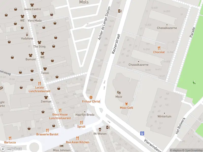 Brandweer met gepaste spoed naar de Nieuwe Ginnekenstraat in Breda