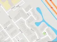 Overlastmelding Esdoorn in Maassluis