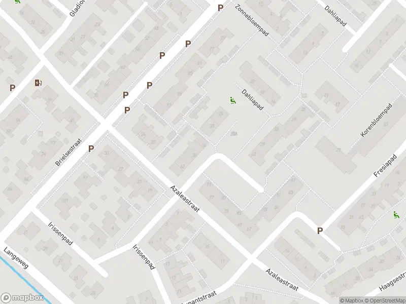 Ambulance met gepaste spoed naar de Azaleastraat in Stellendam