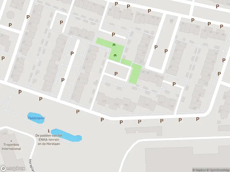 Overlastmelding Oversteek in 6717ZS Ede