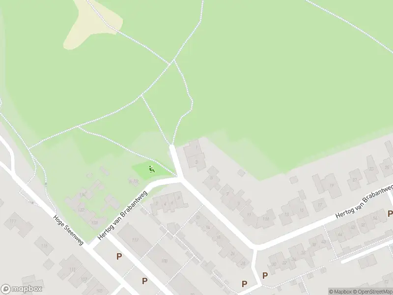 Overlastmelding Hertog van Brabantweg in Loon op Zand