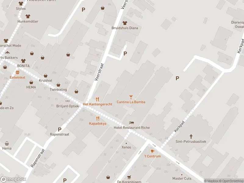 Brandweer met gepaste spoed naar de Veerstraat in Boxmeer