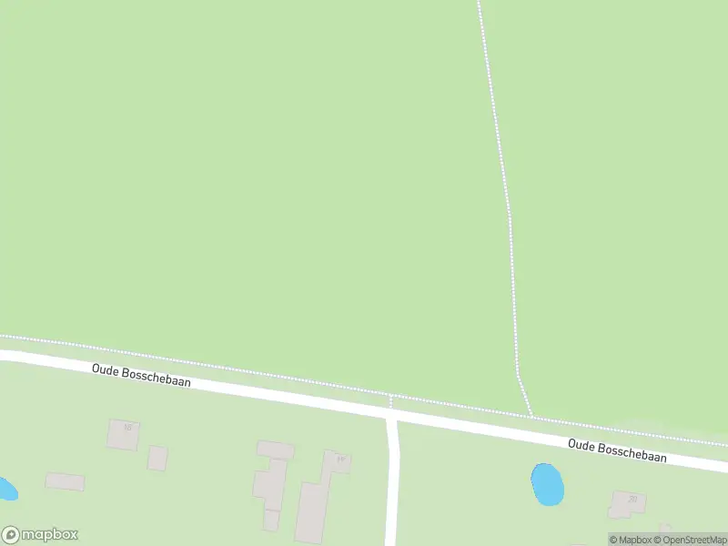 Overlastmelding Oude Bosschebaan in Biezenmortel