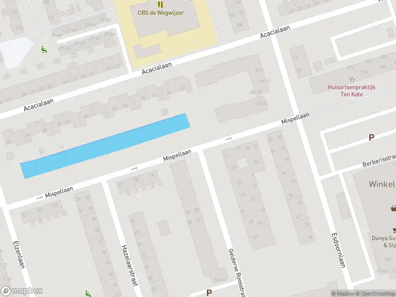 Brandweer met gepaste spoed naar de Bottelroosstraat in Groningen