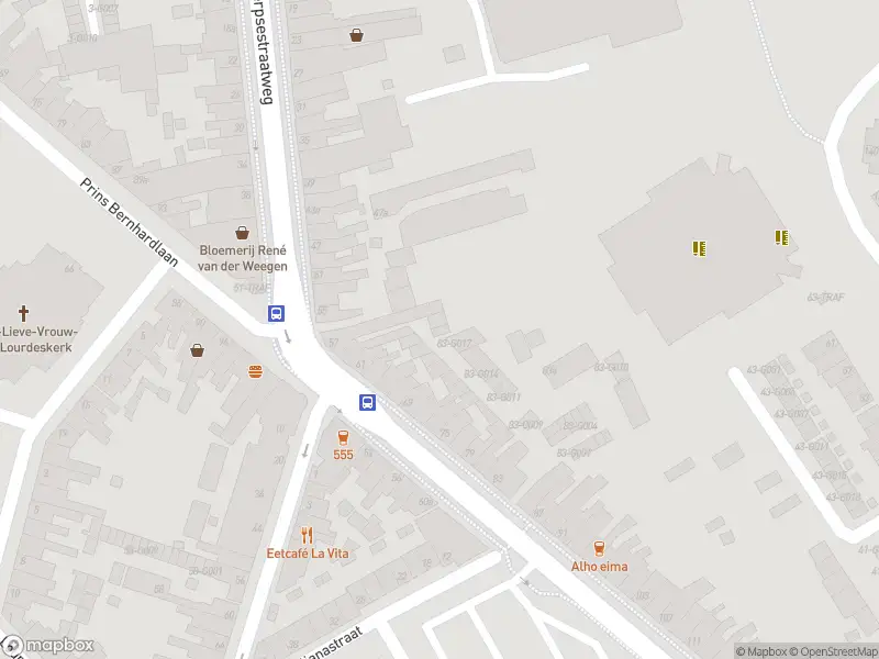 Politie met grote spoed naar de Jan de Wittstraat in Bergen op Zoom vanwege letsel