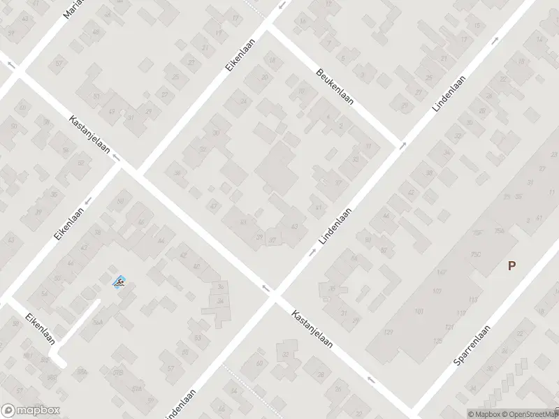 Ambulance met gepaste spoed naar de Sparrenlaan in Zwanenburg