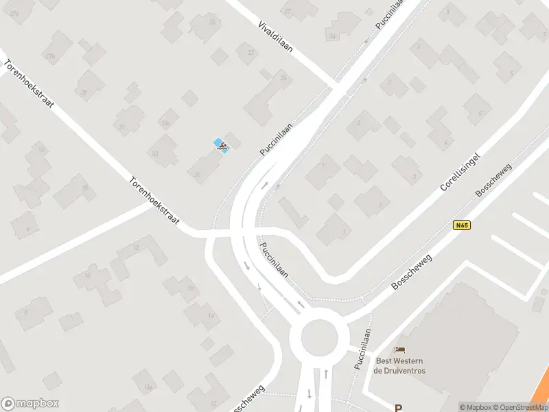 Overlastmelding Puccinilaan in Berkel-Enschot