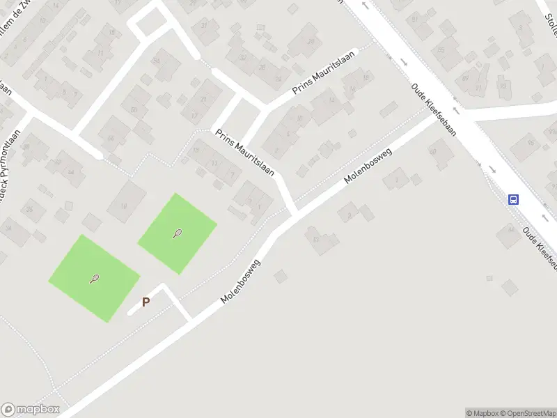 Brandweer met gepaste spoed naar de Molenbosweg in Berg en Dal vanwege stormschade