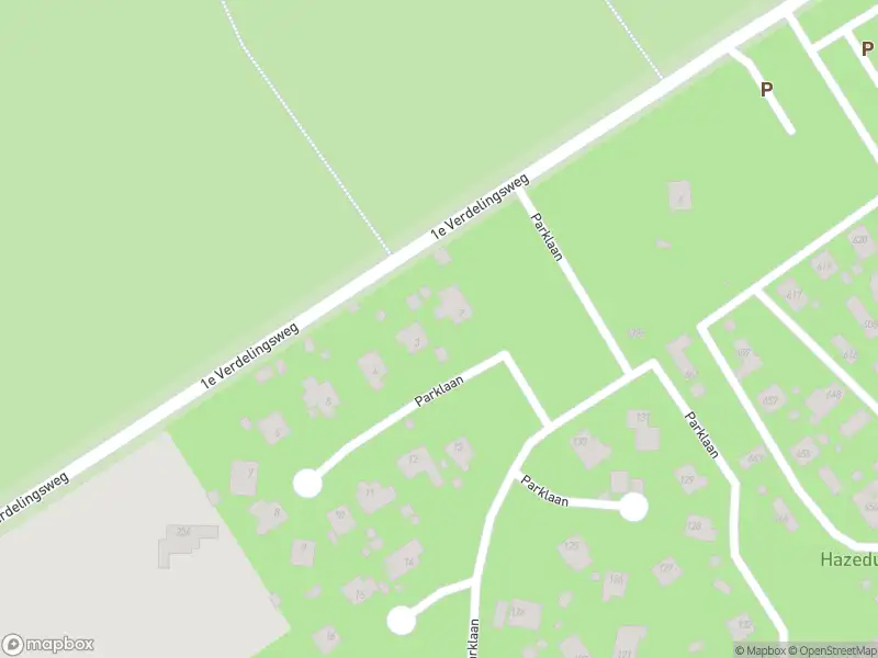 Traumahelikopter met grote spoed naar de Parklaan in Putte