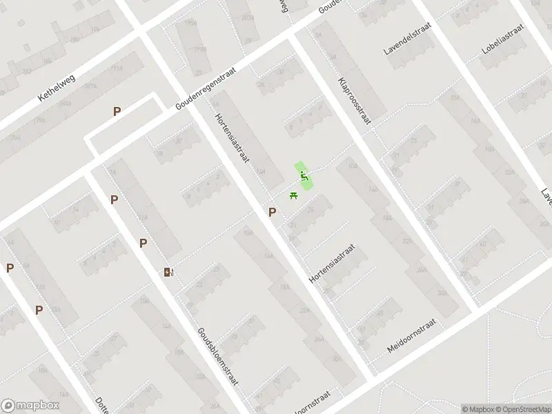 Ambulance met grote spoed naar de Hortensiastraat in Vlaardingen