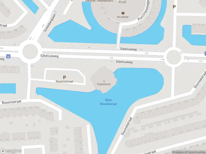 Ambulance met grote spoed naar de Rossinistraat in Capelle aan den IJssel