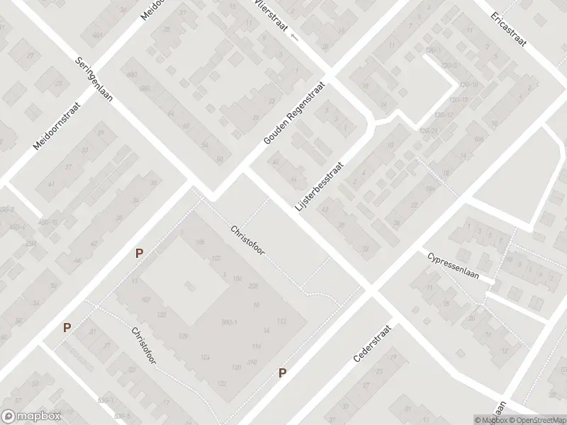 Overlastmelding Gouden Regenstraat in Sint-Michielsgestel