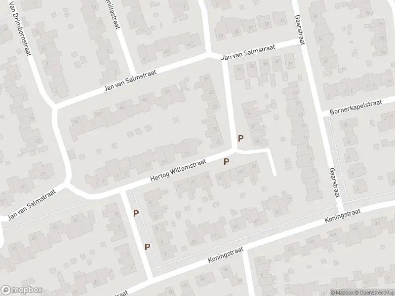 Overlastmelding Jan van Salmstraat in 6121NG Born