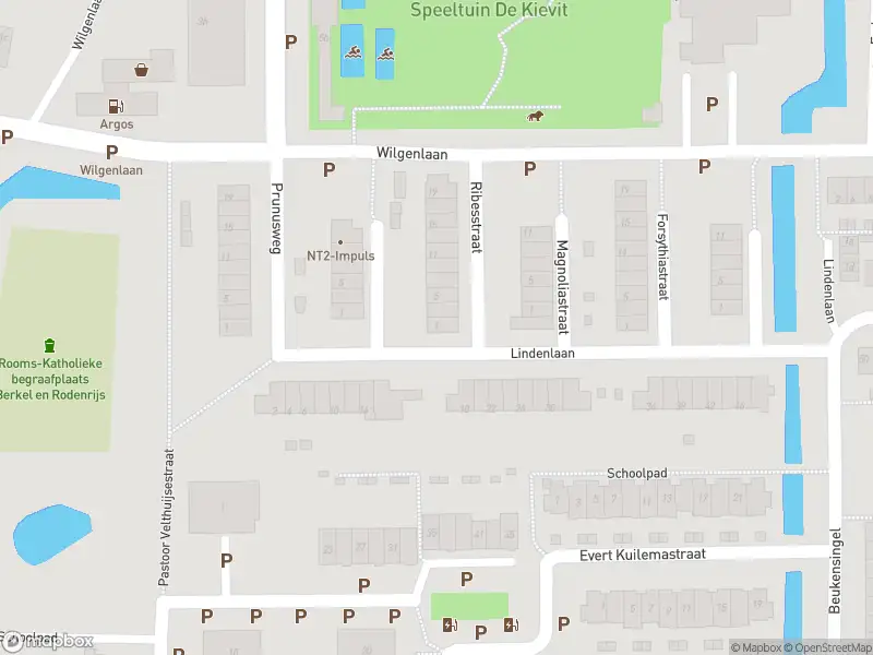 Ambulance met grote spoed naar de Ribesstraat in Berkel en Rodenrijs