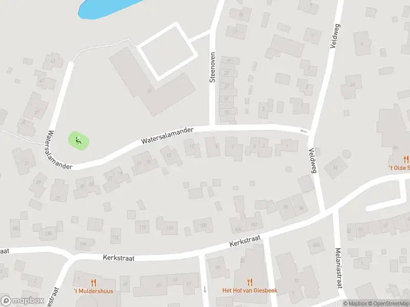 Overlastmelding Watersalamander in Giesbeek