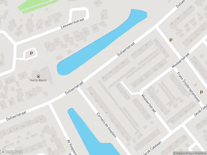 Overlastmelding Dullaertstraat in Hulst