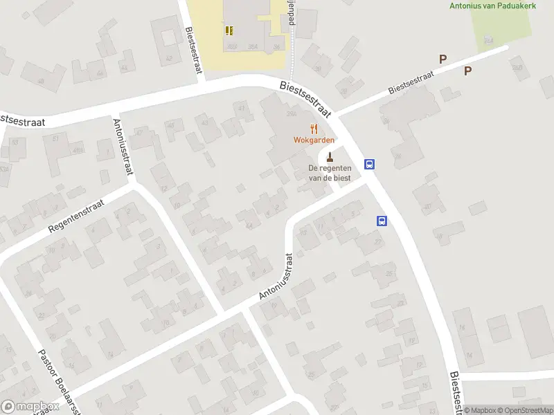 Overlastmelding Antoniusstraat in Biest-Houtakker