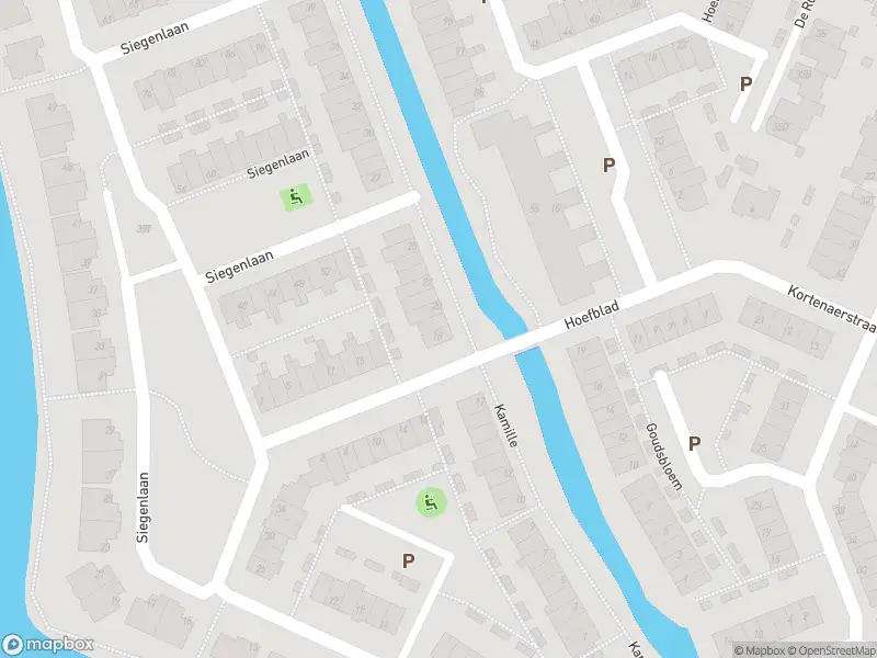 Overlastmelding Kamille in Rijnsburg