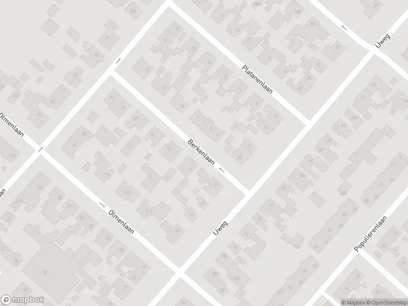 Ambulance met gepaste spoed naar de Berkenlaan in Zwanenburg