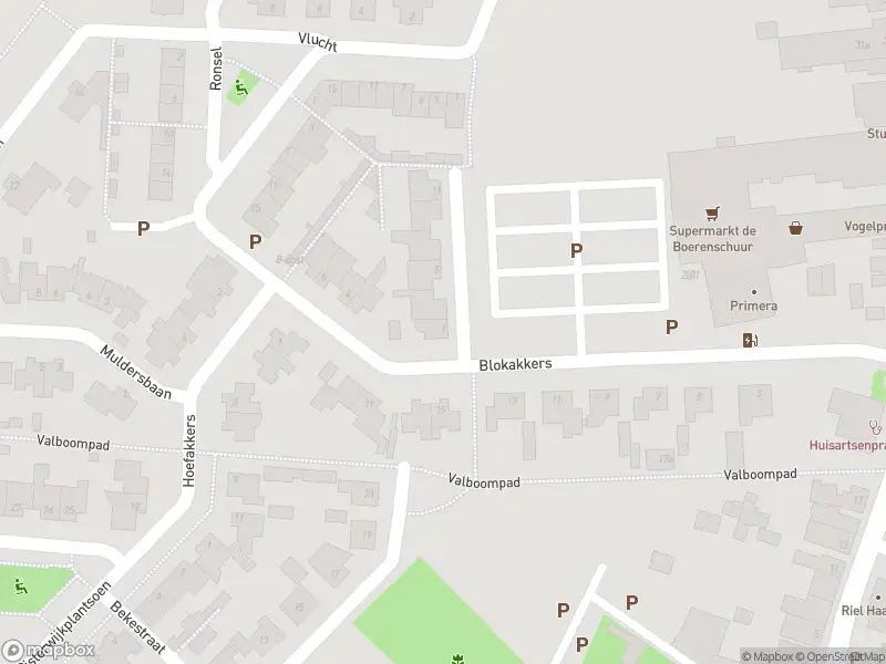 Overlastmelding Speelman in Riel