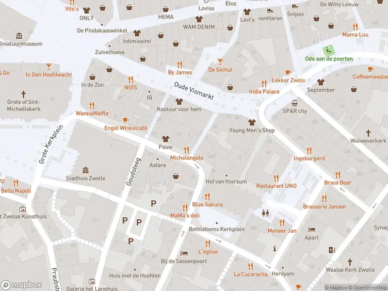 Ambulance met grote spoed naar de Rodeleeuwsteeg in Zwolle