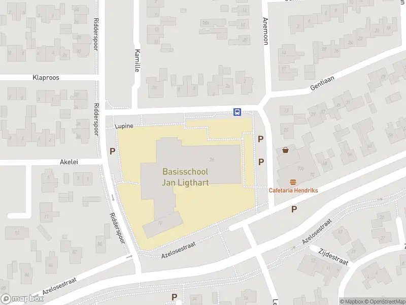 Politie naar de Bornerbroeksestraat in Borne vanwege aanrijding met letsel