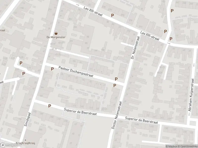 Overlastmelding Pastoor Duchampsstraat in Tilburg