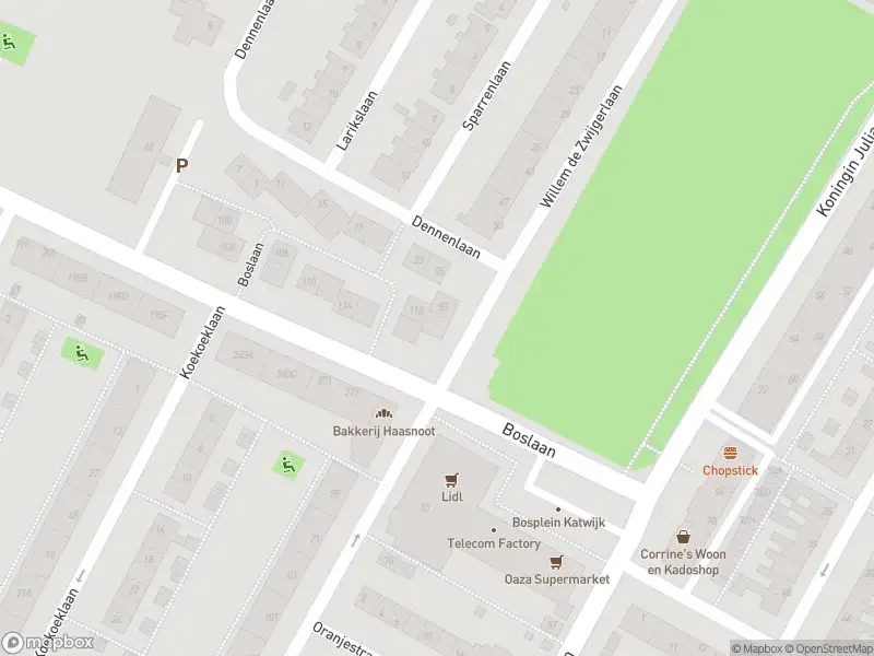 Overlastmelding Willem de Zwijgerlaan in Katwijk aan Zee