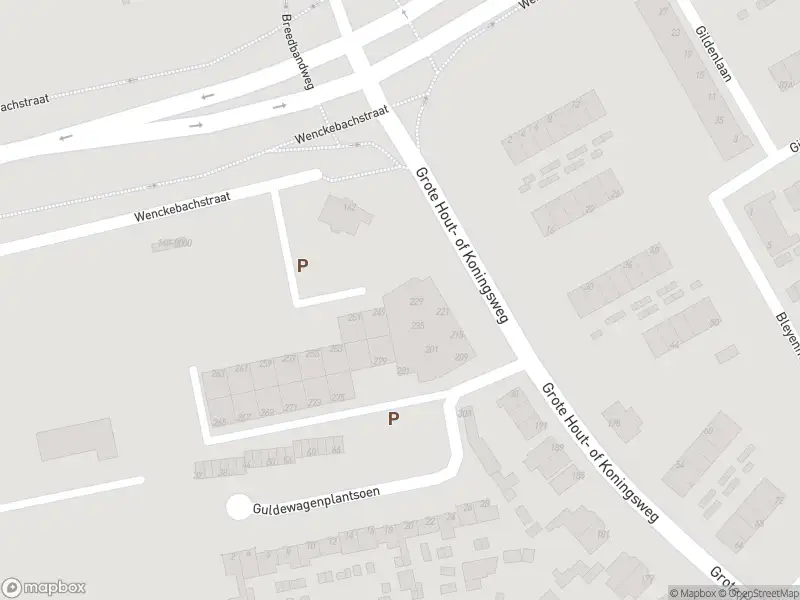 Overlastmelding Grote Hout- of Koningsweg in Velsen-Noord