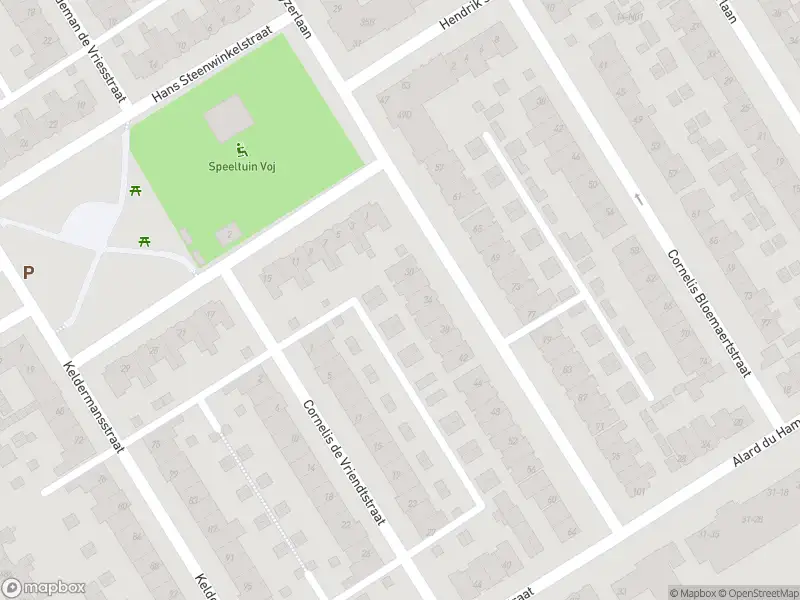 Brandweer met gepaste spoed naar de Salomon de Braystraat in Eindhoven