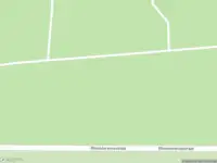 Overlastmelding Rhienderensestraat in Hall gesloten