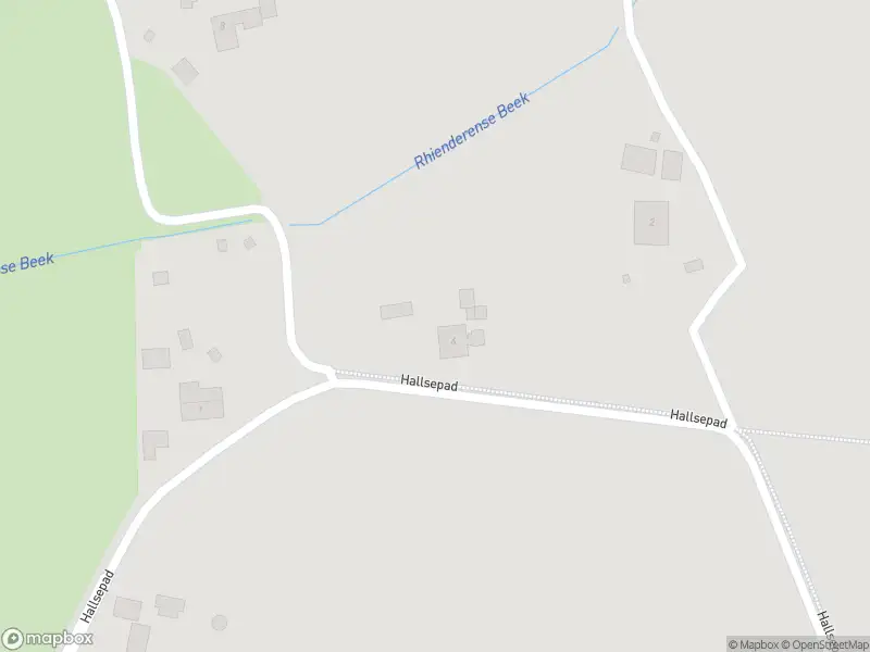 Overlastmelding Hallsepad in Brummen